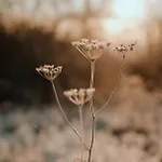 Flowfort - Karkonosze - Mountain View - Private Hot Tub & Sauna