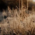 Дом отдыха Flowfort - Karkonosze - Mountain View - Private Hot Tub & Sauna Wojcieszyce