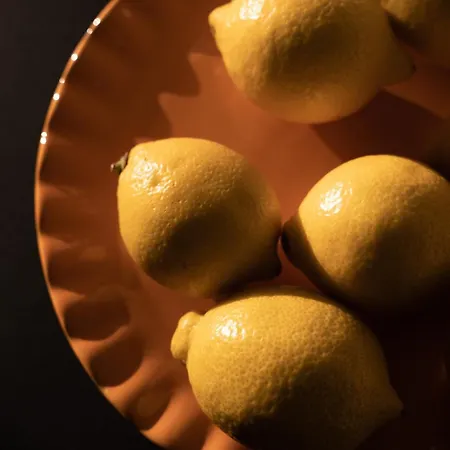 Flowfort - Karkonosze View & & Wellness *