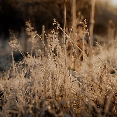 Hébergement de vacances Flowfort - Karkonosze View & & Wellness Wojcieszyce