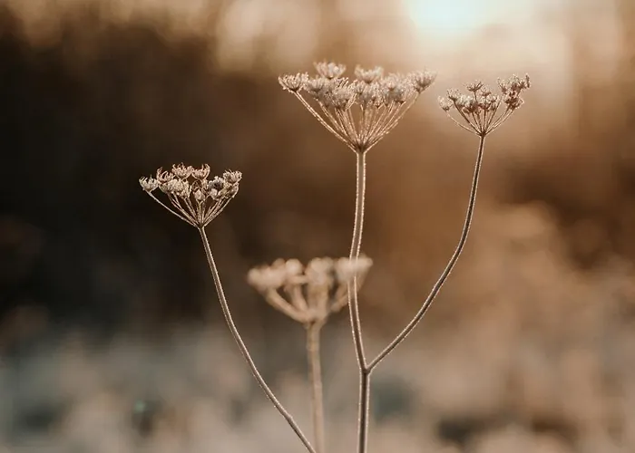 Flowfort - Karkonosze - Mountain View - Private Hot Tub & Sauna